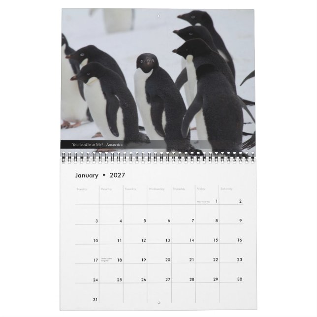 Calendrier de la faune 2012 et du paysage (Jan 2027)