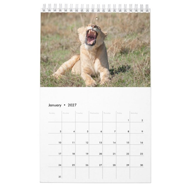Calendrier de la faune 2021 (Jan 2027)