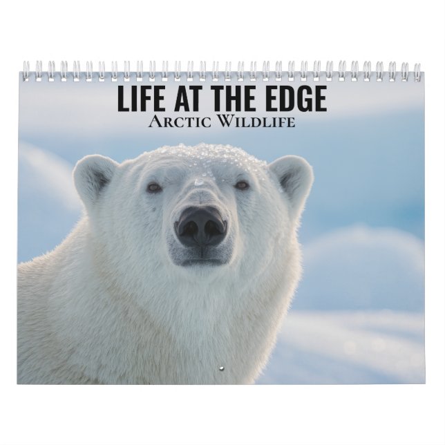 Calendrier de la faune arctique 2027 (Protection)