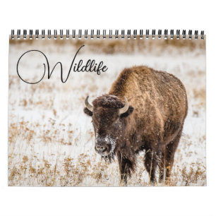 Calendrier de la faune avec légendes