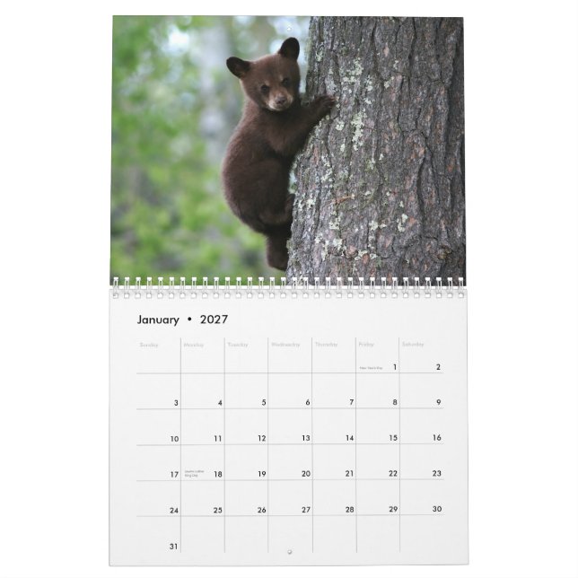 Calendrier de la faune de l'Alaska (Jan 2027)
