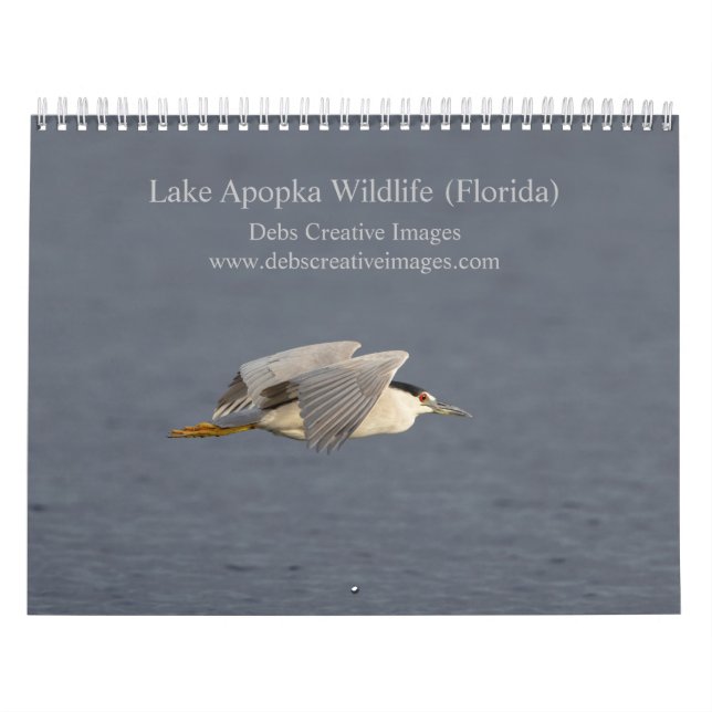 Calendrier de la faune du lac Apopka 2027 | Florid (Protection)
