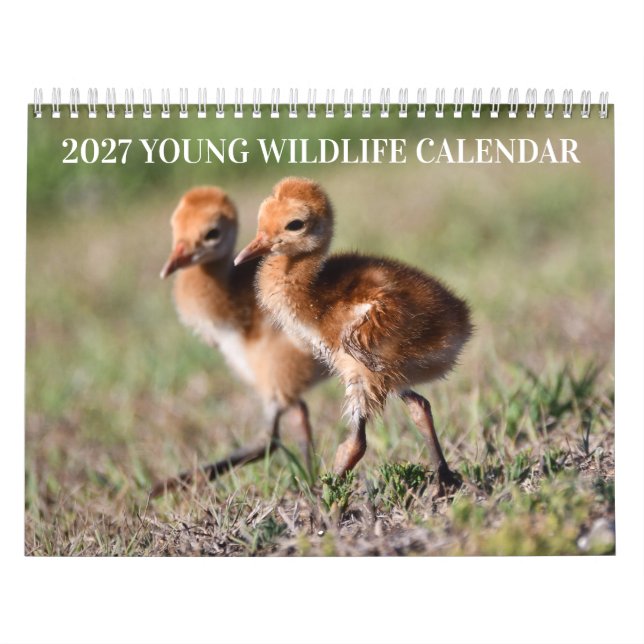 Calendrier de la faune jeune 2027 (Protection)