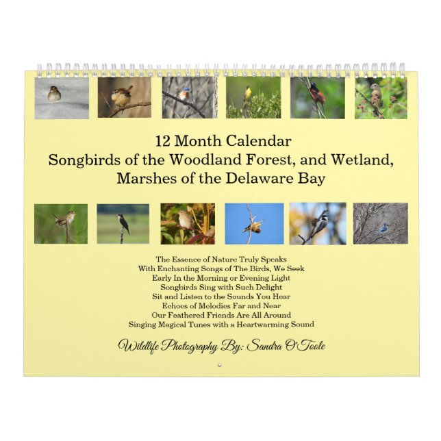 Calendrier de la faune, oiseaux chanteurs, oiseaux (Protection)