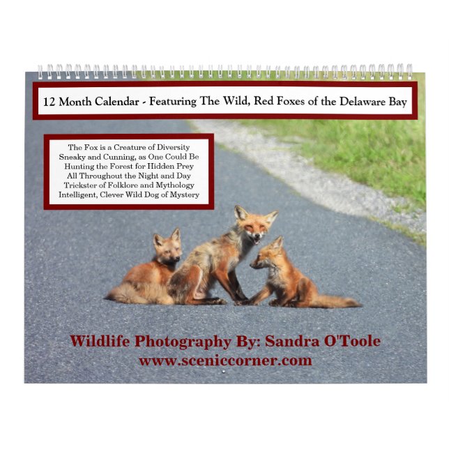 Calendrier de la faune, Renards roux (Protection)