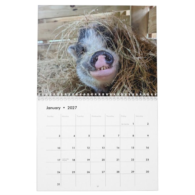 Calendrier de la ferme de paix (Jan 2027)