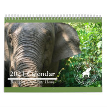 Calendrier de la Fondation Elephant 2021
