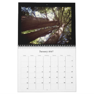 Calendrier de la forêt de séquoias