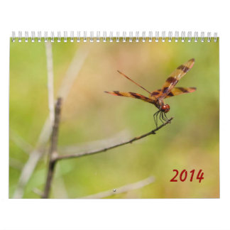 Calendrier de la libellule 2014 et du Damselfly