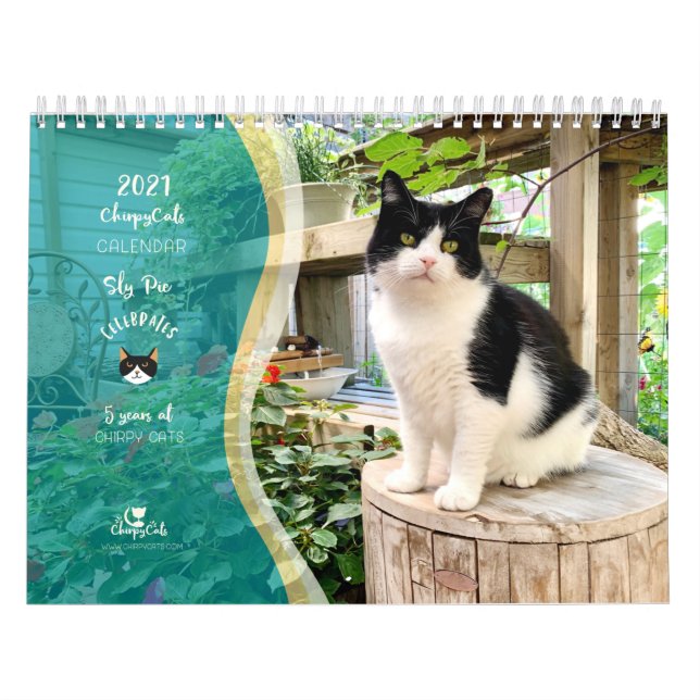 Calendrier de la muraille de chat 2021, vie de la  (Protection)