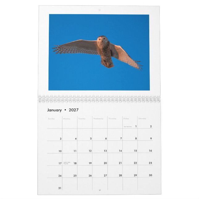 Calendrier de la photographie 2015 de Dustin (Jan 2027)