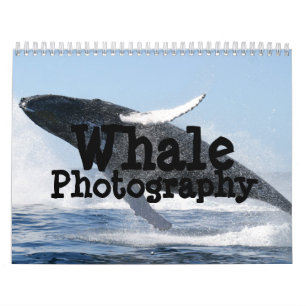 Calendrier de la photographie de baleine