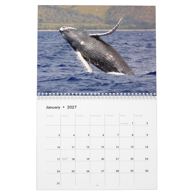 Calendrier de la photographie de baleine (Jan 2027)