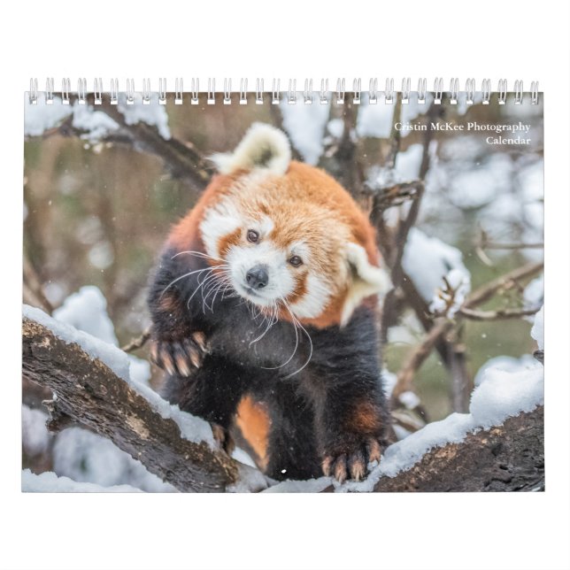 Calendrier de la photographie de la faune (Protection)
