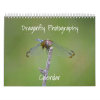 Calendrier de la photographie des libellules