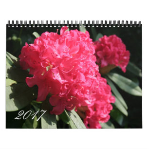 Calendrier de la photographie florale de l'année 2