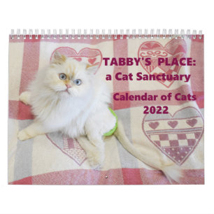 Calendrier de la place de Tabby 2022