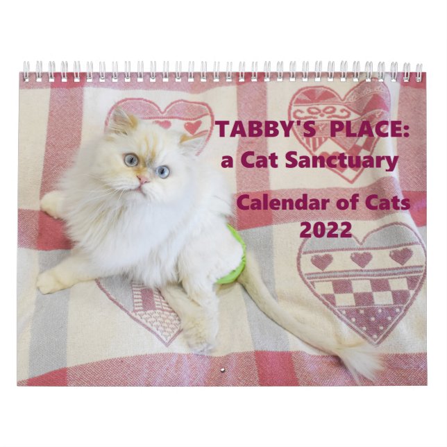 Calendrier de la place de Tabby 2022 (Protection)