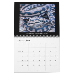 Calendrier de la radio Morelia Python 2025