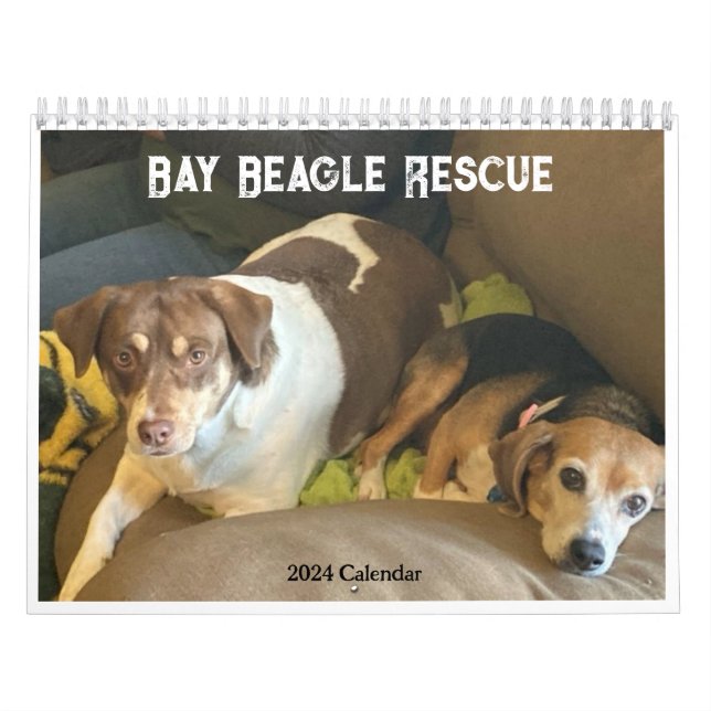 Calendrier de la Secourt Beagle Bay 2024 (Protection)