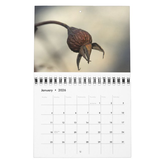 Calendrier De la terre abondante (Jan 2026)