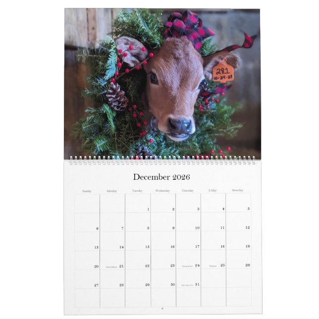 Calendrier de la vache et du veau du lait biologiq (Dec 2026)
