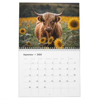 Calendrier de la vache Highland