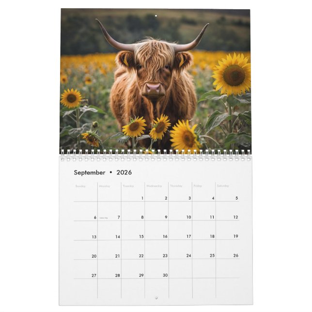 Calendrier de la vache Highland (Sep 2026)