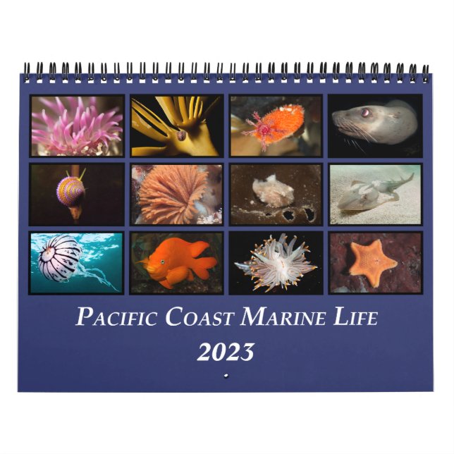 Calendrier de la vie marine de la côte Pacifique (Protection)