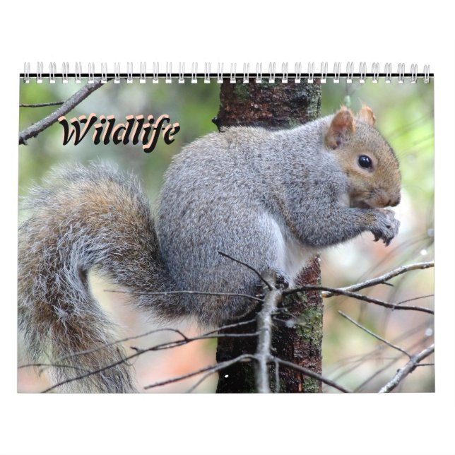 Calendrier de la vie sauvage (Protection)