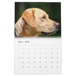 Calendrier de Labrador