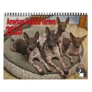 Calendrier de l'AHTCA 2023 American Hairless Terri