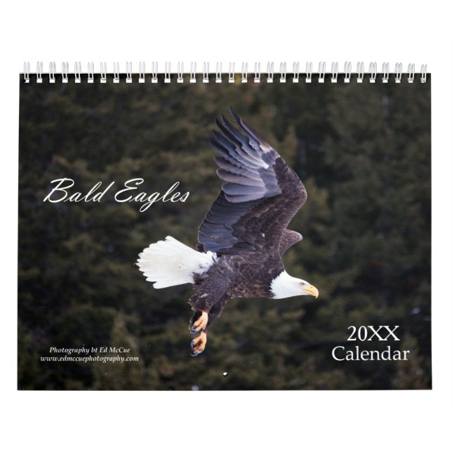Calendrier de l'aigle à tête blanche (Protection)