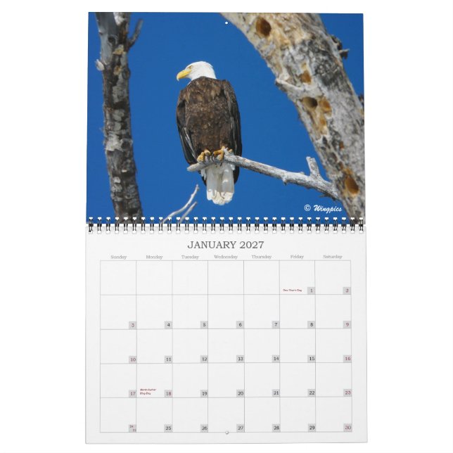 Calendrier de l'aigle d'hiver 2012 (Jan 2027)