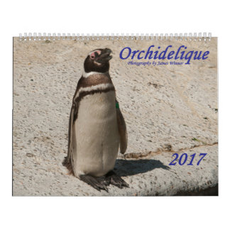 Calendrier de l'animal d'Orchidelique 2017