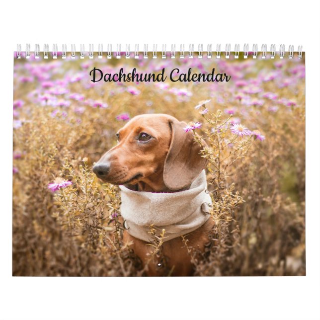 Calendrier de l'année personnalisée Dachshund (Protection)