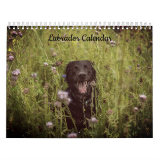 Calendrier de l'année personnalisée du Labrador