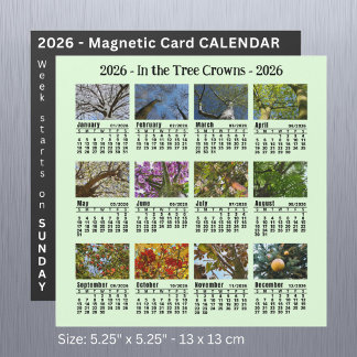 Calendrier de l'arbre photo personnalisé 2026 Débu
