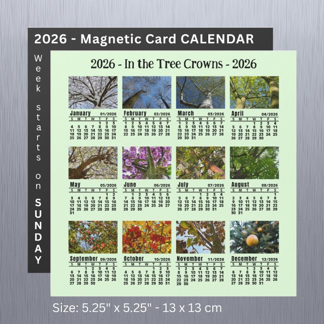 Calendrier de l'arbre photo personnalisé 2026 Débu (Créateur téléchargé)
