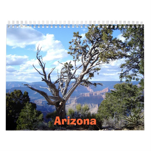 Calendrier de l'Arizona (Protection)