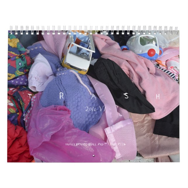 CALENDRIER de l'ART 2016 v1 photographique par (Protection)