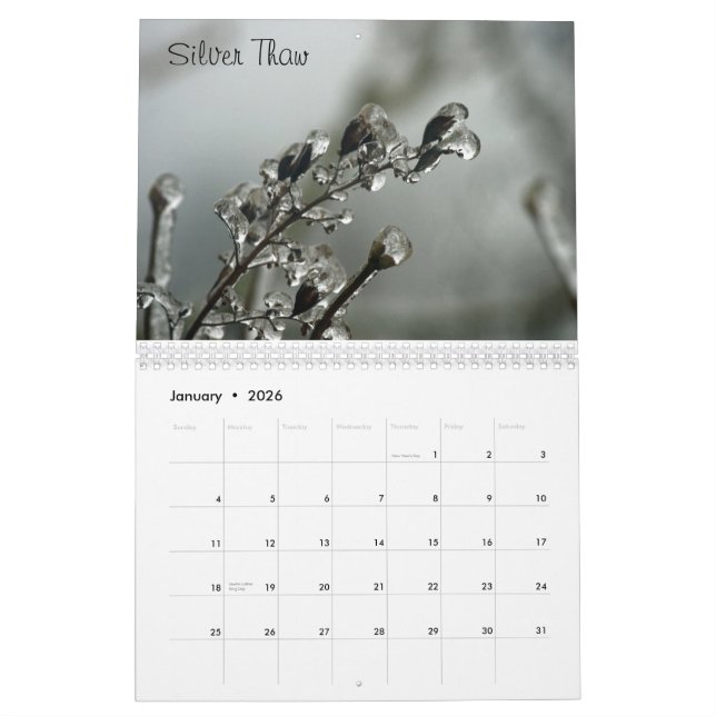 Calendrier de lavage d'état (Jan 2026)