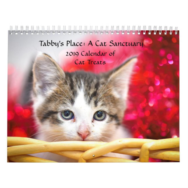 Calendrier de l'endroit du chat tigré (Protection)