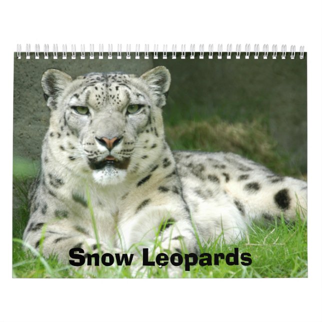 Calendrier de léopards de neige, léopards de neige (Protection)