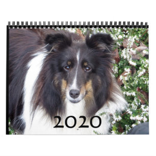 Calendrier de l'étagère