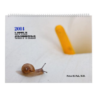 Calendrier de Little Critters 2014