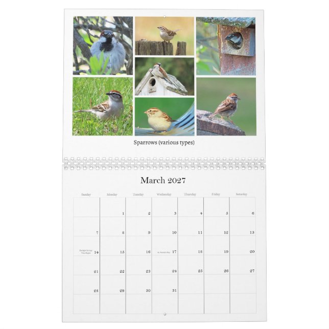 Calendrier de l'ornithologie de jardin 2026 (Mar 2027)