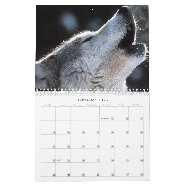 Calendrier de loups (Jan 2026)