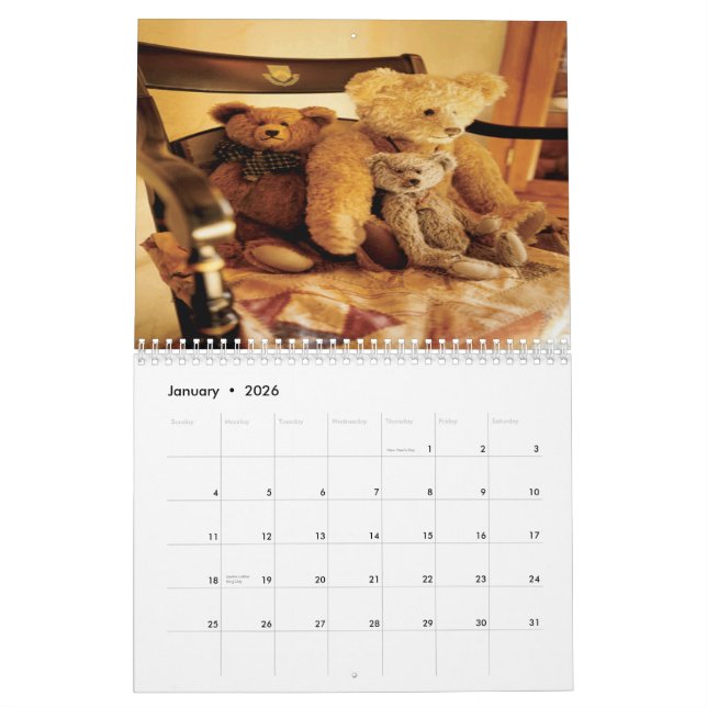 Calendrier de l'ours de nounours 2013 (Jan 2026)