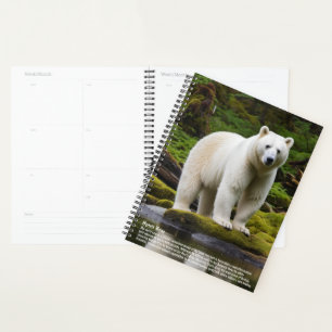Calendrier de l'ours spirituel
